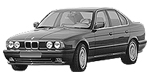 BMW E34 C245D Fault Code